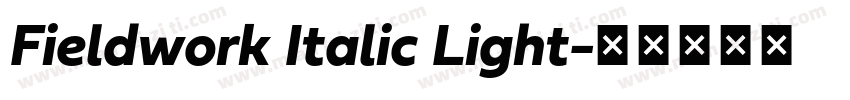 Fieldwork Italic Light字体转换